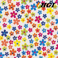 DS050B-0.5M Width Transfer Printing Film DS050B-0.5M Width Transfer Printing Film