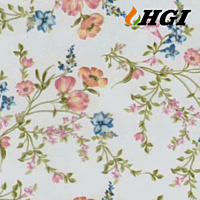 DS1199-0.5M Width Transfer Printing Film DS1199-0.5M Width Transfer Printing Film