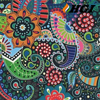 DS1240-0.5M Width Transfer Printing Film DS1240-0.5M Width Transfer Printing Film